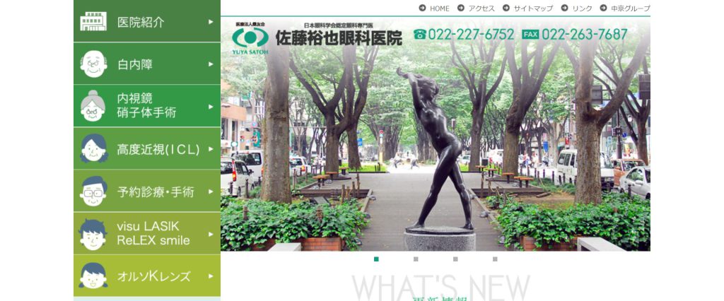 FireShot Capture 45 https___www.sendai-lasik.jp_.png