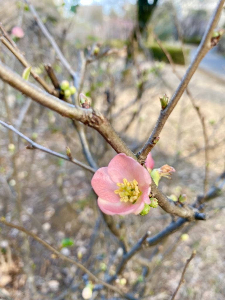 IMG-6535.jpg