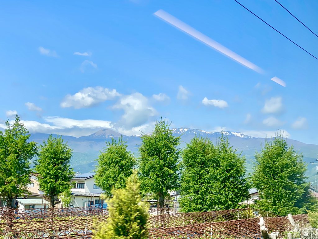 IMG-6801.jpg
