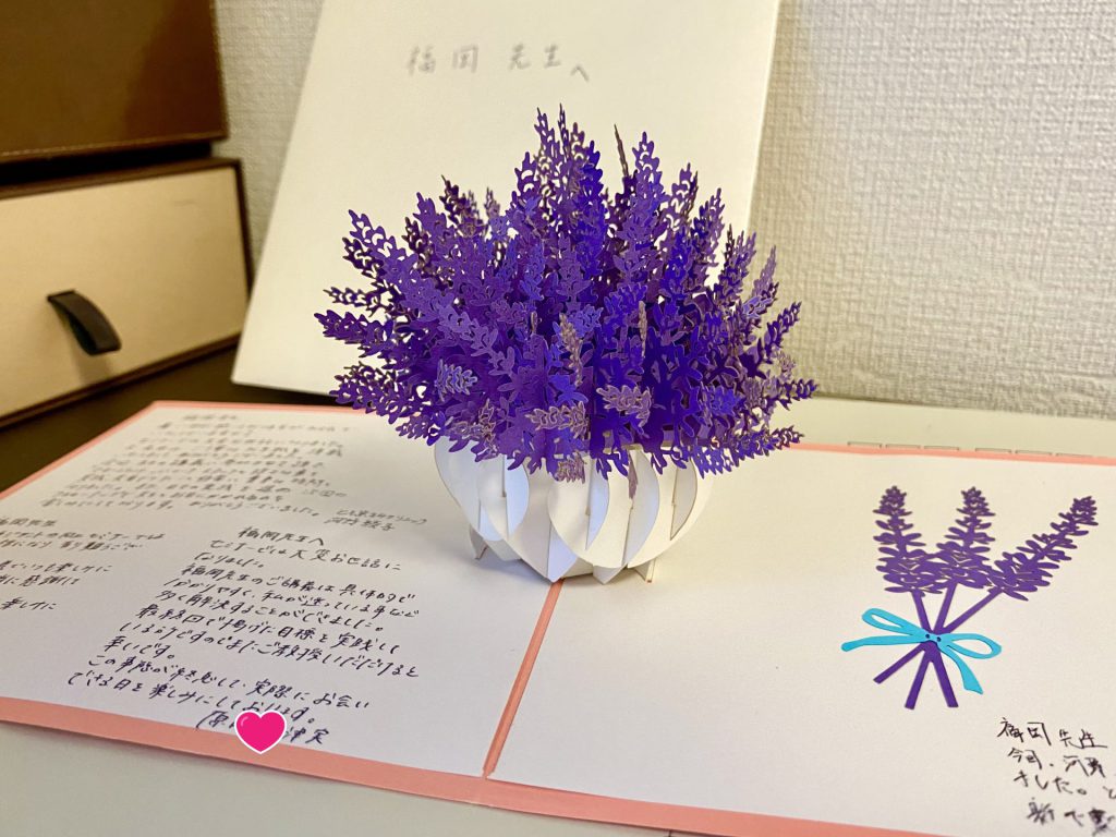 IMG-6956.jpg